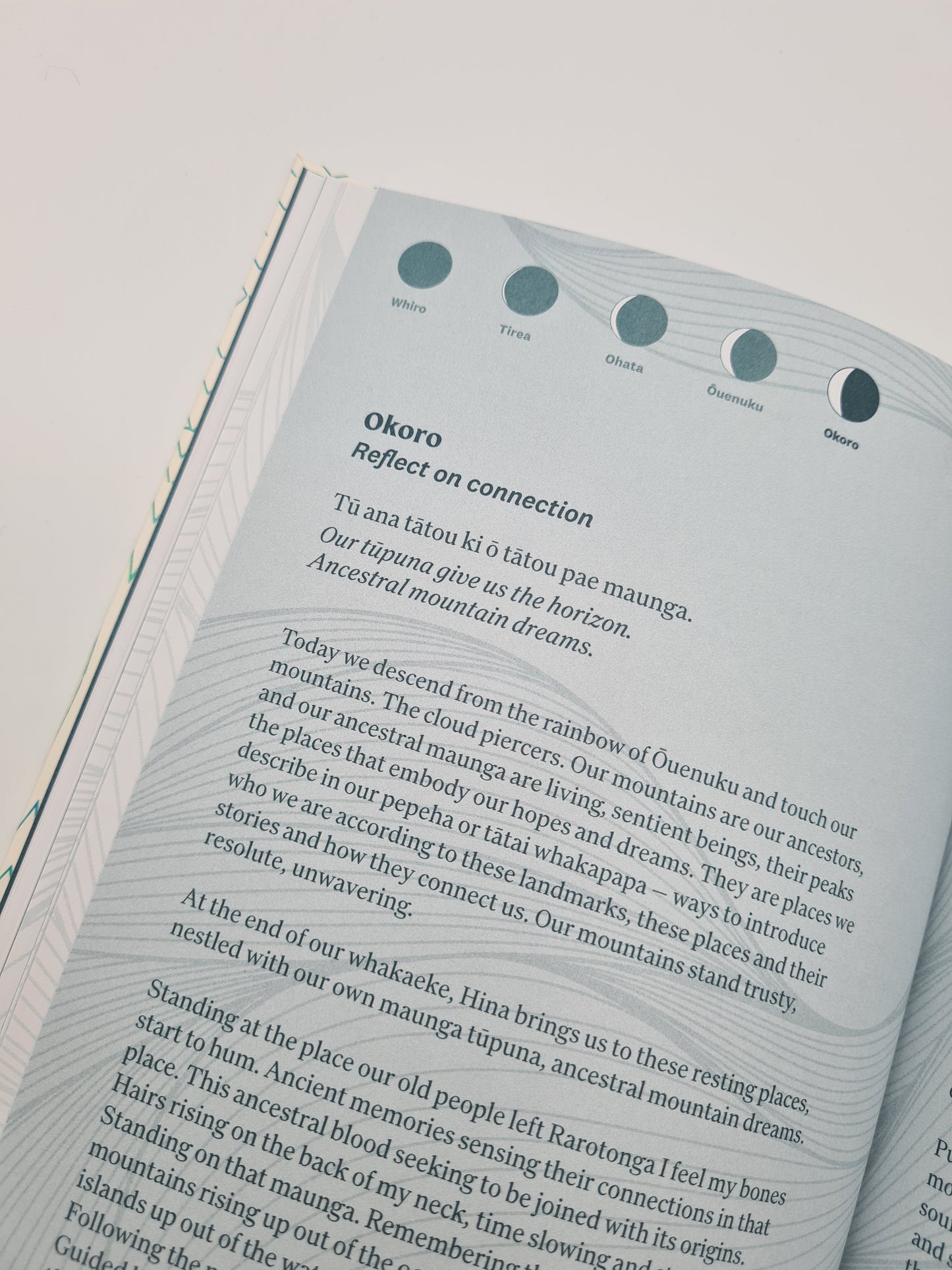 Book - Waitohu - A Journal for Making Meaning - Dr Hinemoa Elder