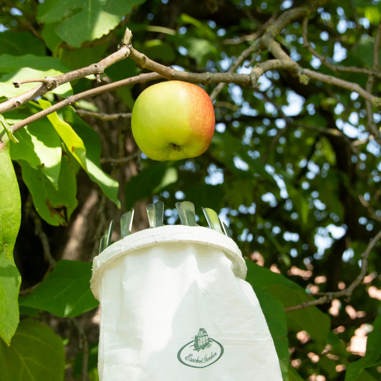 Fruit Picker Metal/Fabric