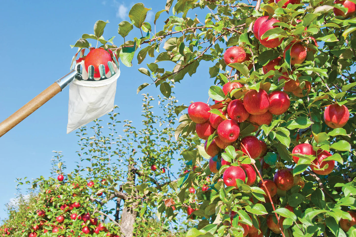 Fruit Picker Metal/Fabric