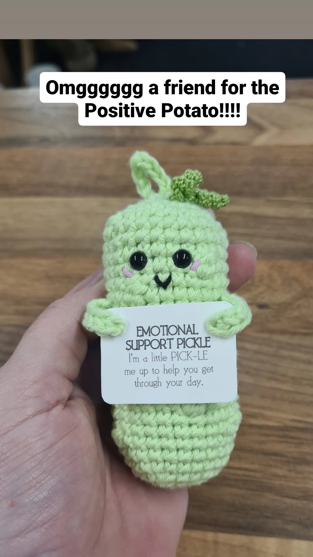 Emotional Support Pickle