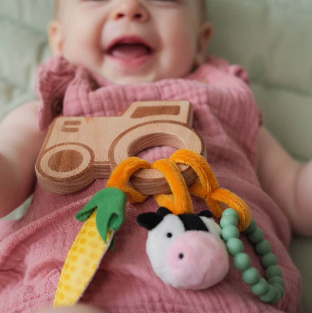 Wooden Rattle - Farm