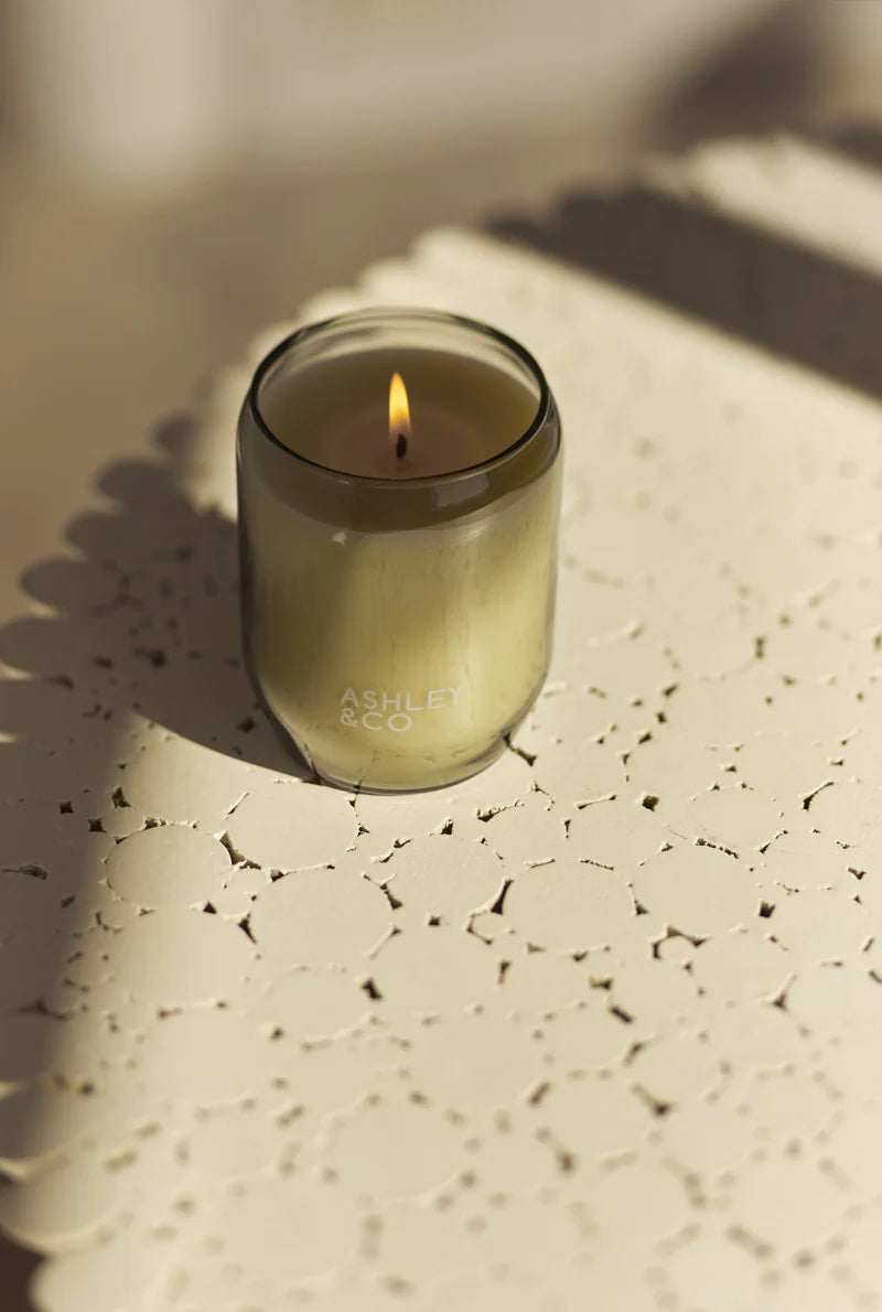 Candle - Tui & Kahili - Ashley and Co