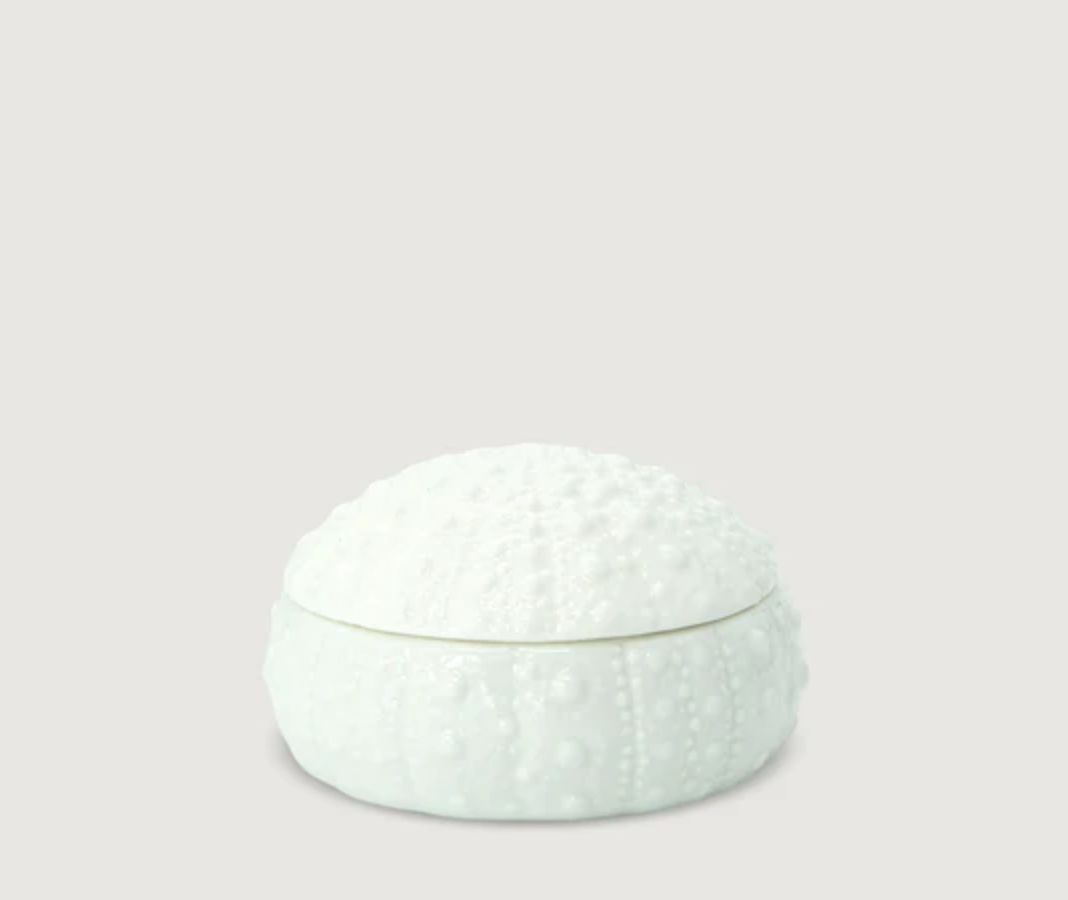 Kina Bowl - Ceramic Bowl - White