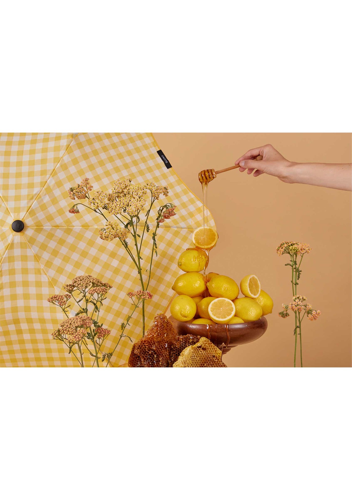 Umbrella - Classic Lemon and Honey - Blunt