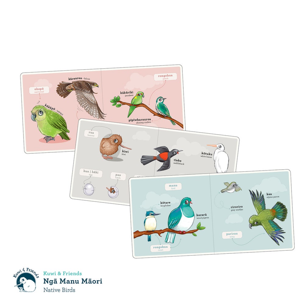 Book - Ngā Manu Māori - Native Birds