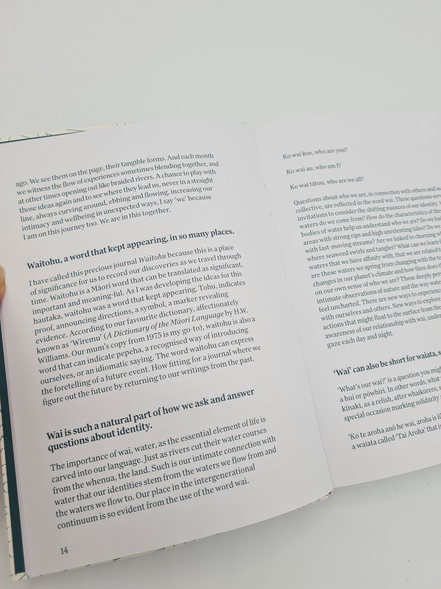 Book - Waitohu - A Journal for Making Meaning - Dr Hinemoa Elder