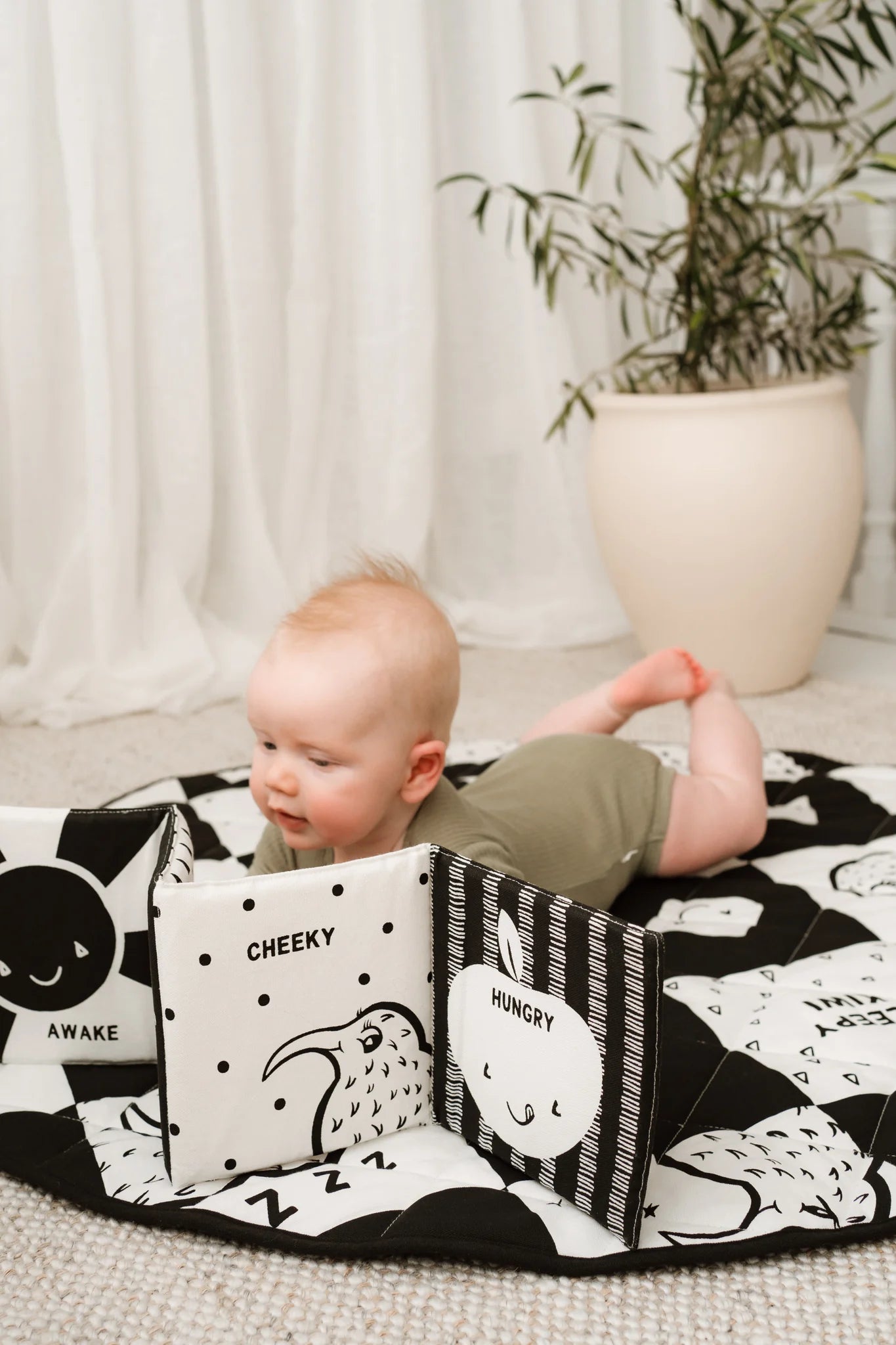 Sleepy Kiwi Baby Fabric Book of Birds (Organic Cotton)