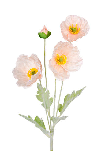 Iceland Poppy Spray - 62cm Blush