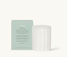 Load image into Gallery viewer, Candle - Alchemy - White Tea &amp; Wild Mint
