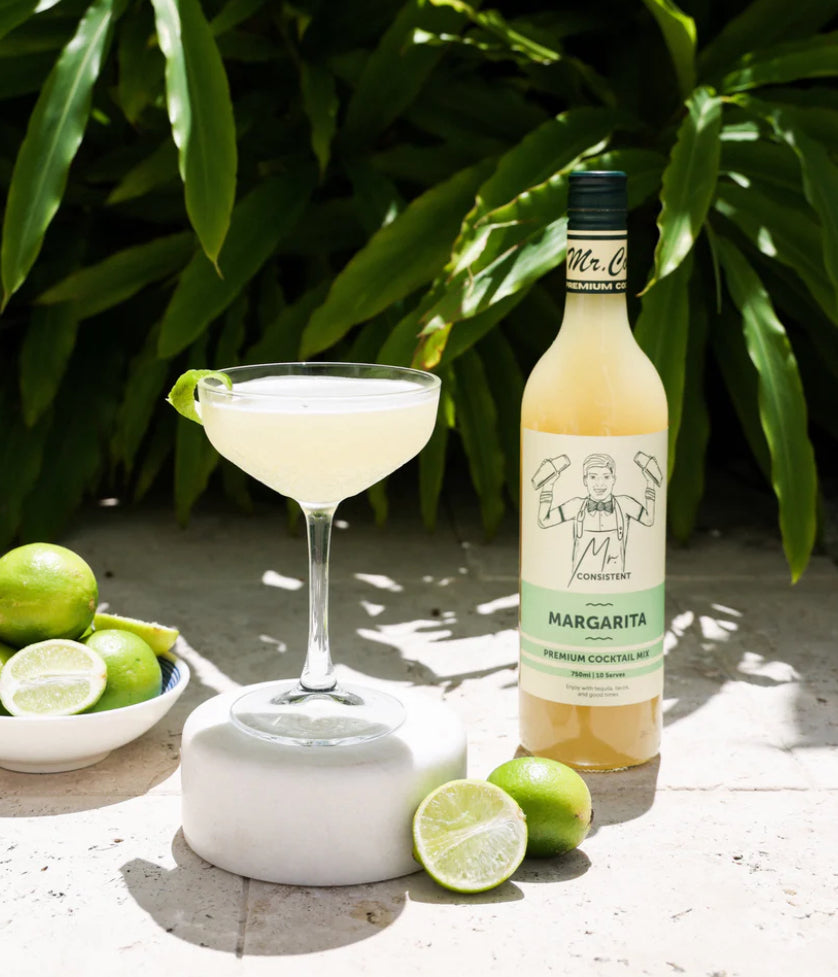 Cocktail Mixer - Margarita