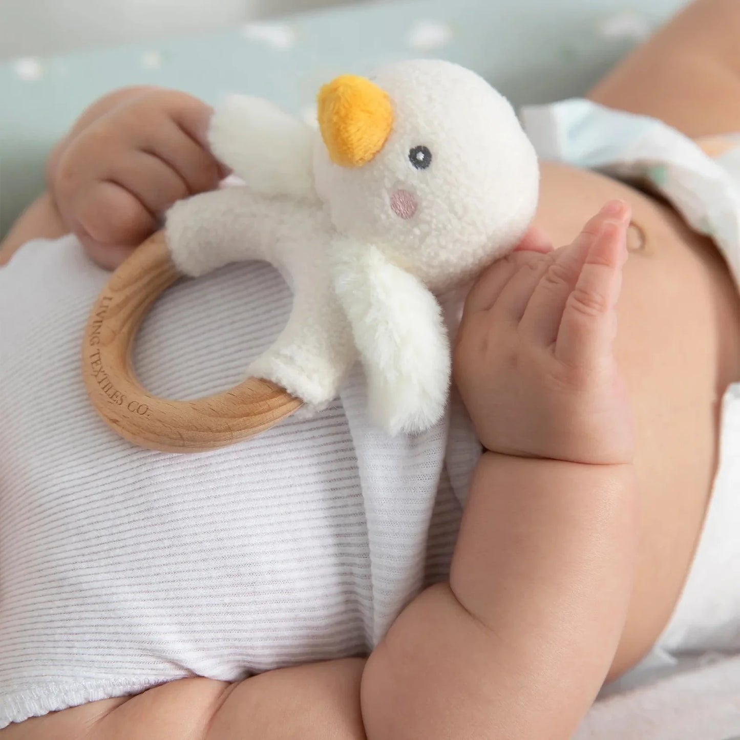 Ring Rattle & Dummy Chain Gift Set - Goose
