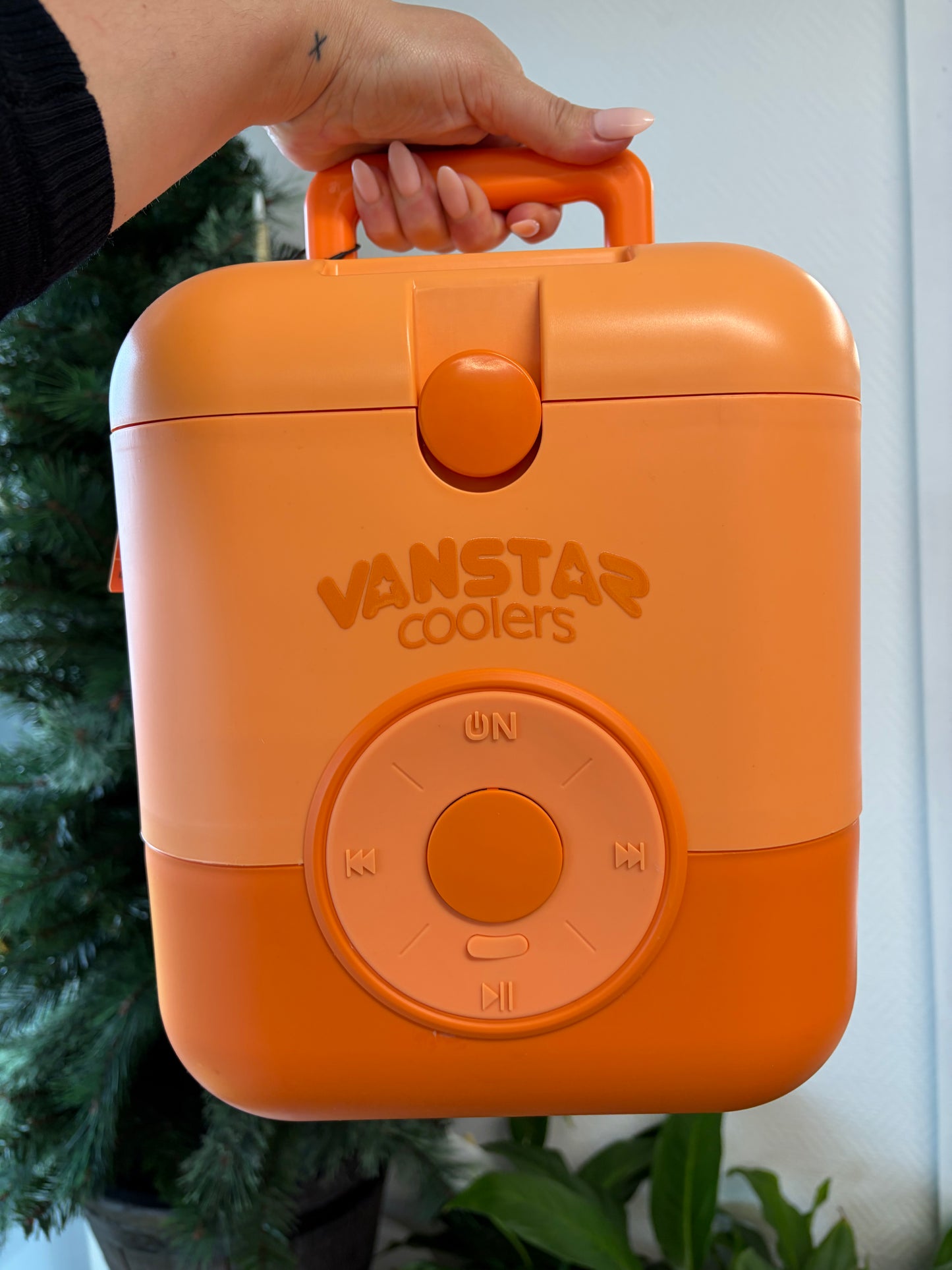 Chill Bin Cube & Speaker