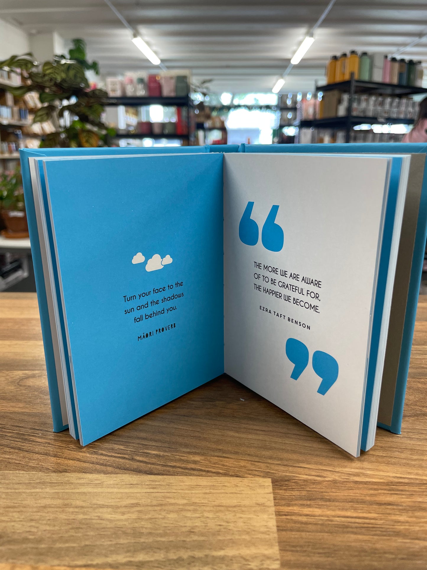 Book - Every Cloud Has A Silver Lining