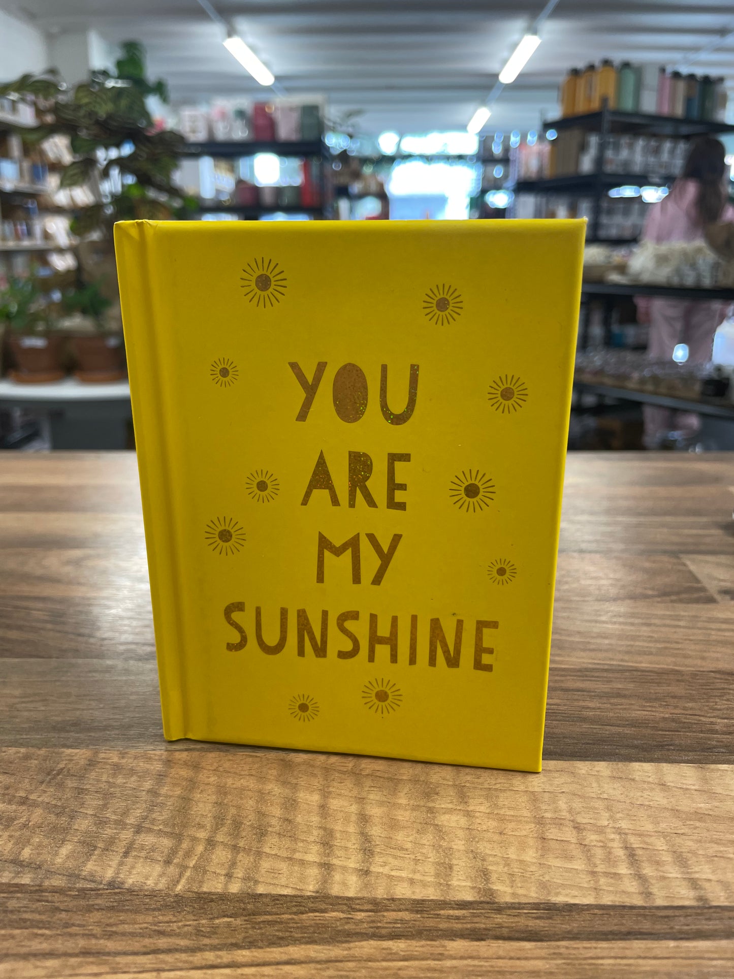 Book - You Are My Sunshine