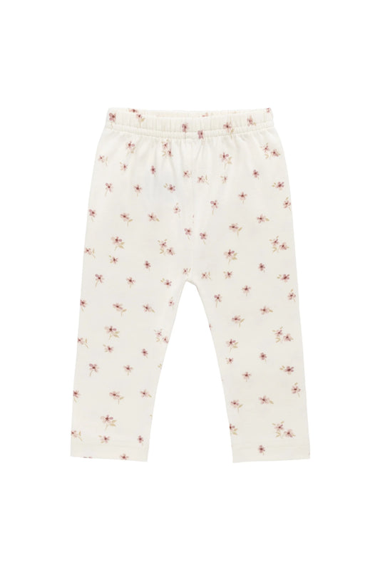 Organic Cotton Everyday Legging - NEWBORN - Jamie Kay