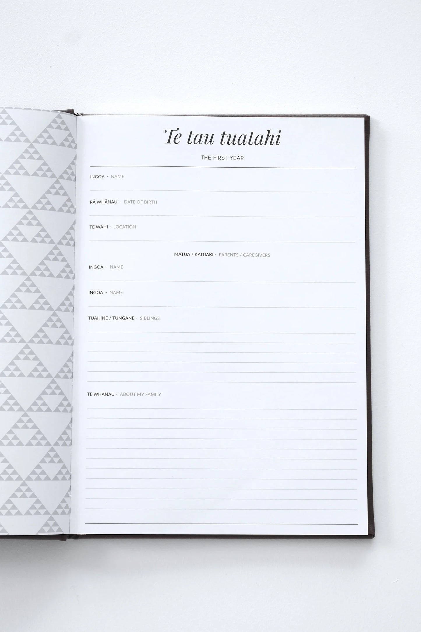 Ngā Tau 21 - 21 Years Book
