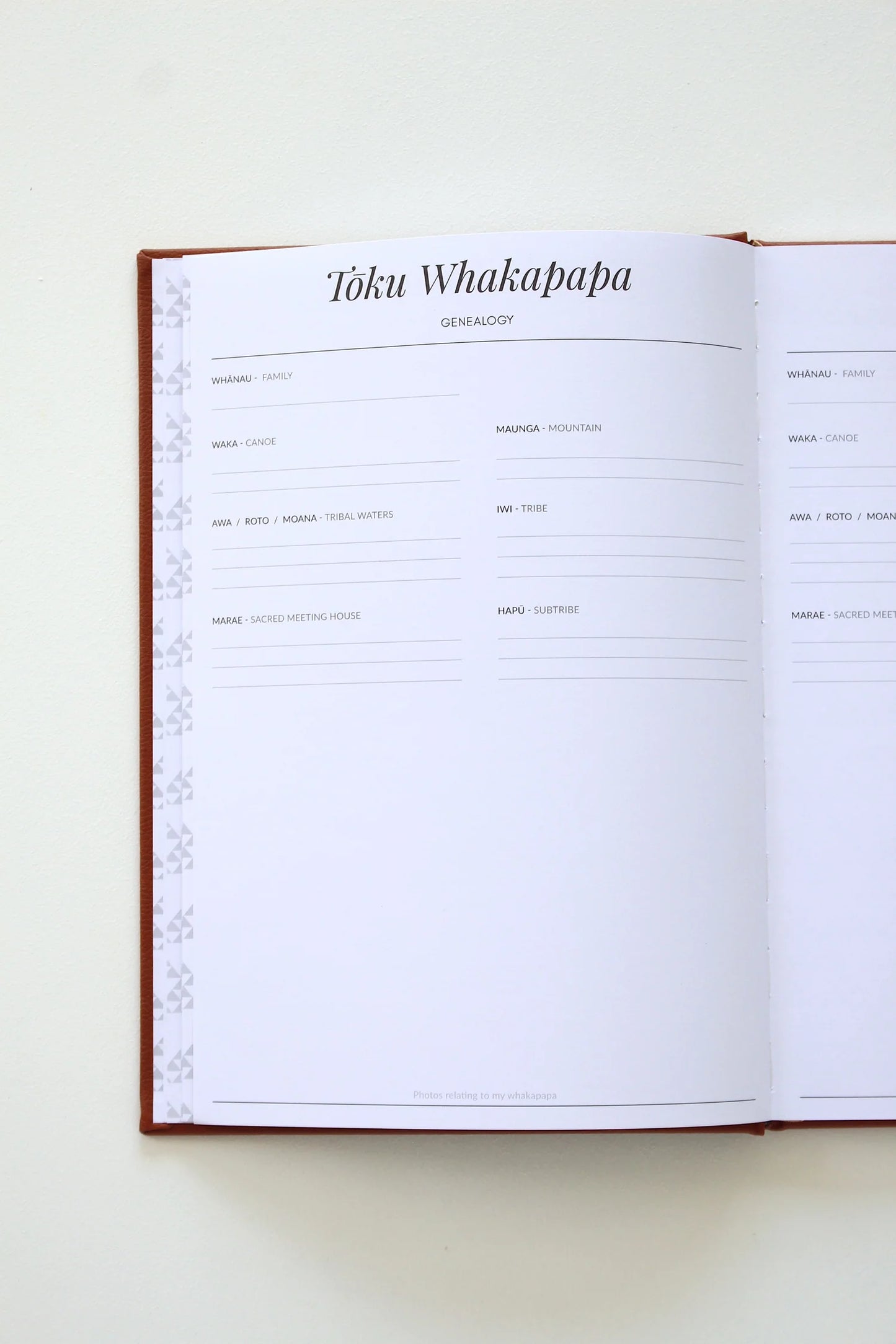 Ngā Tau 21 - 21 Years Book