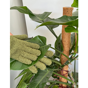 Plant Dust Gloves Green  14x23x2cm