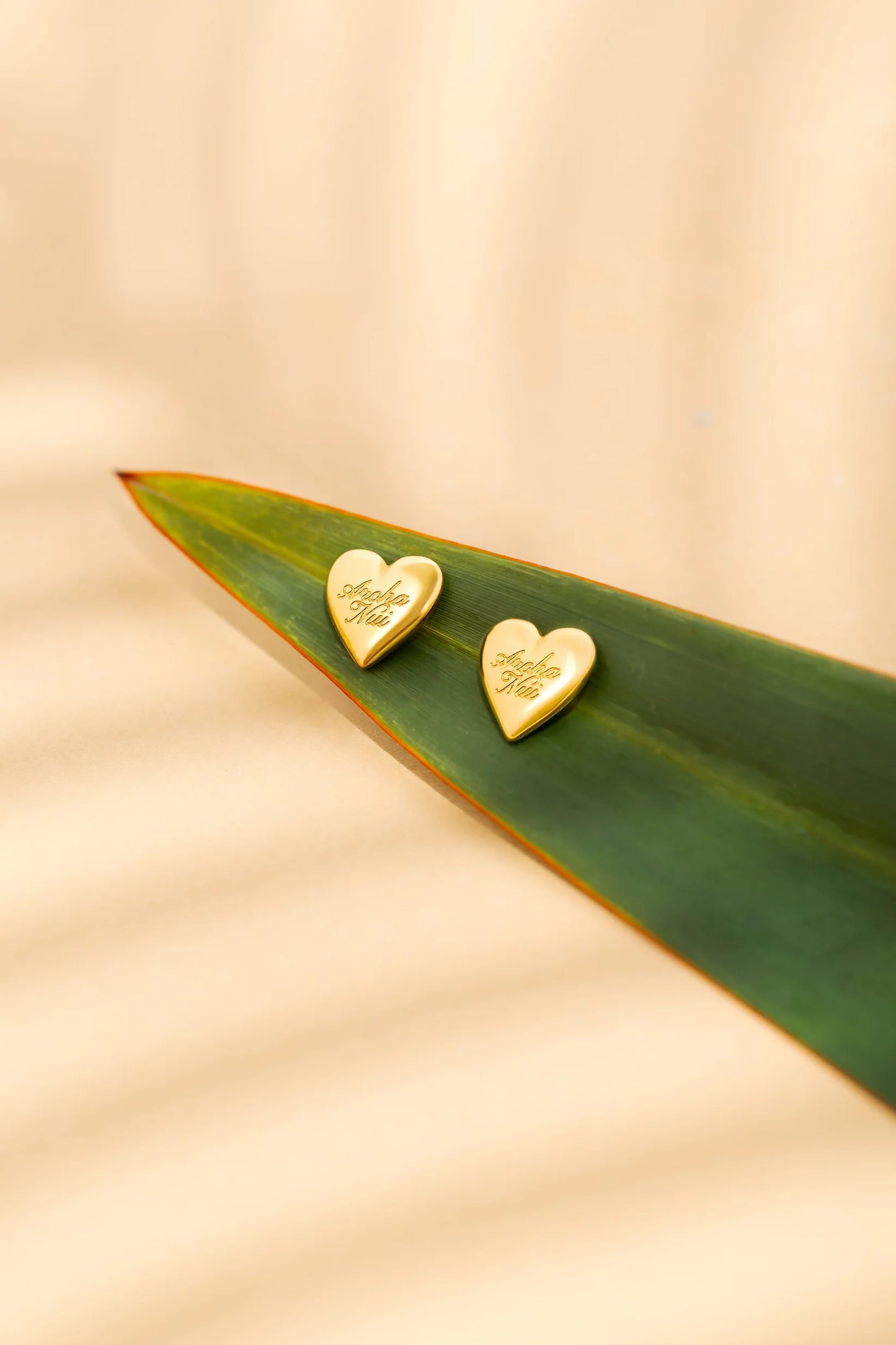 Earrings - Rerehua - Aroha Nui - Studs