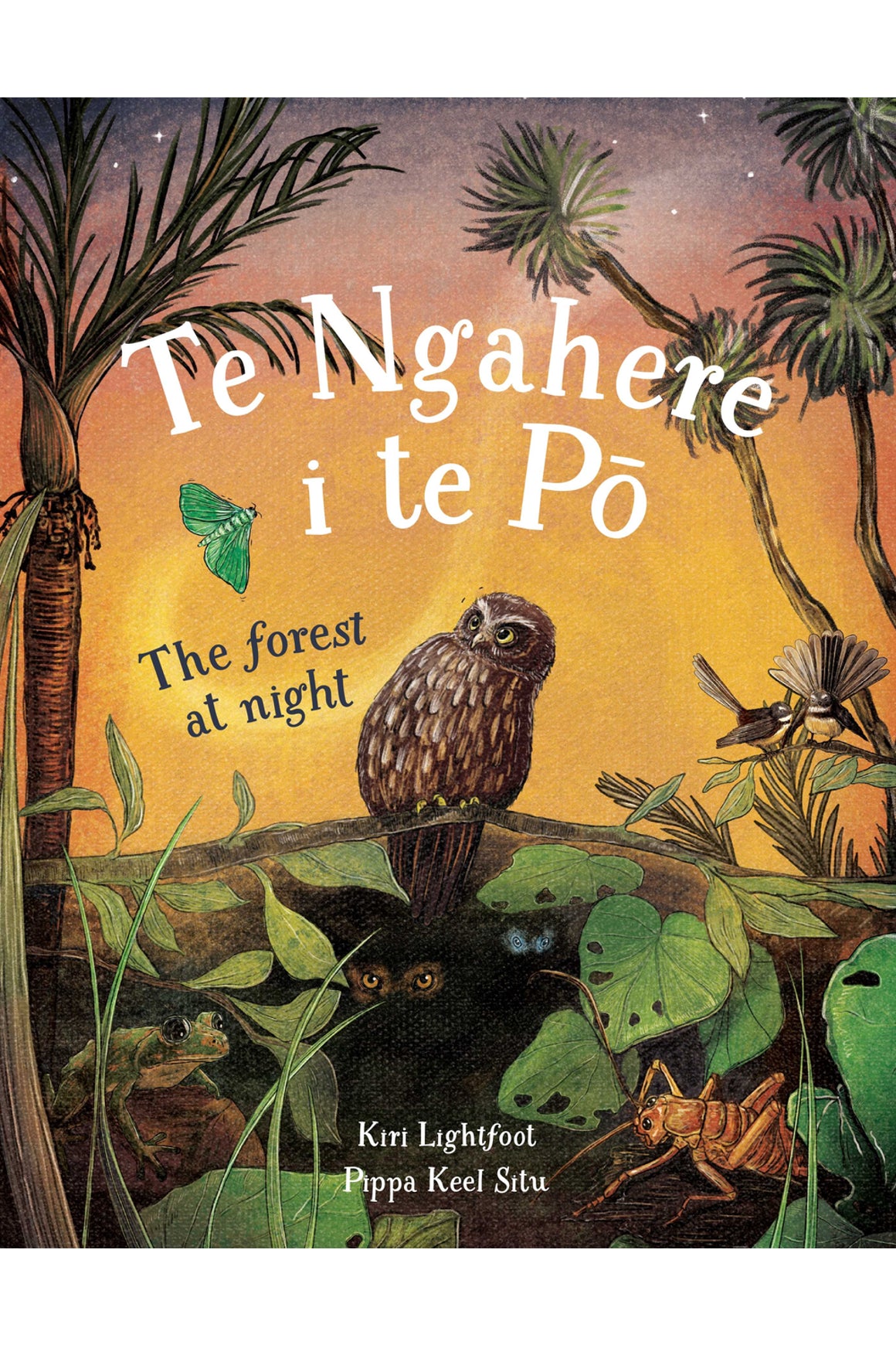 Te ngahere i te po - The forest at night