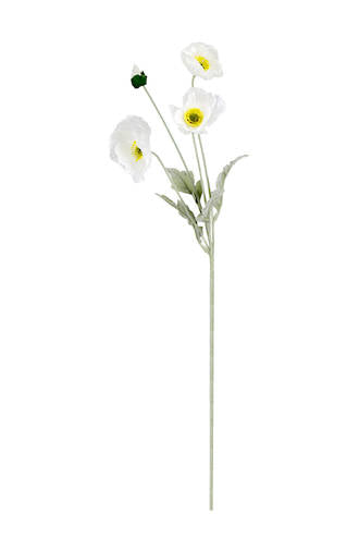 Iceland Poppy Spray - 62cm White