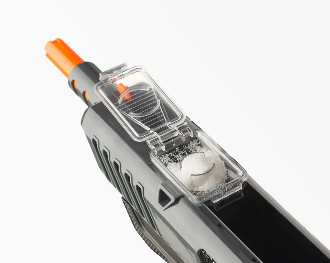 Bug A Salt Gun