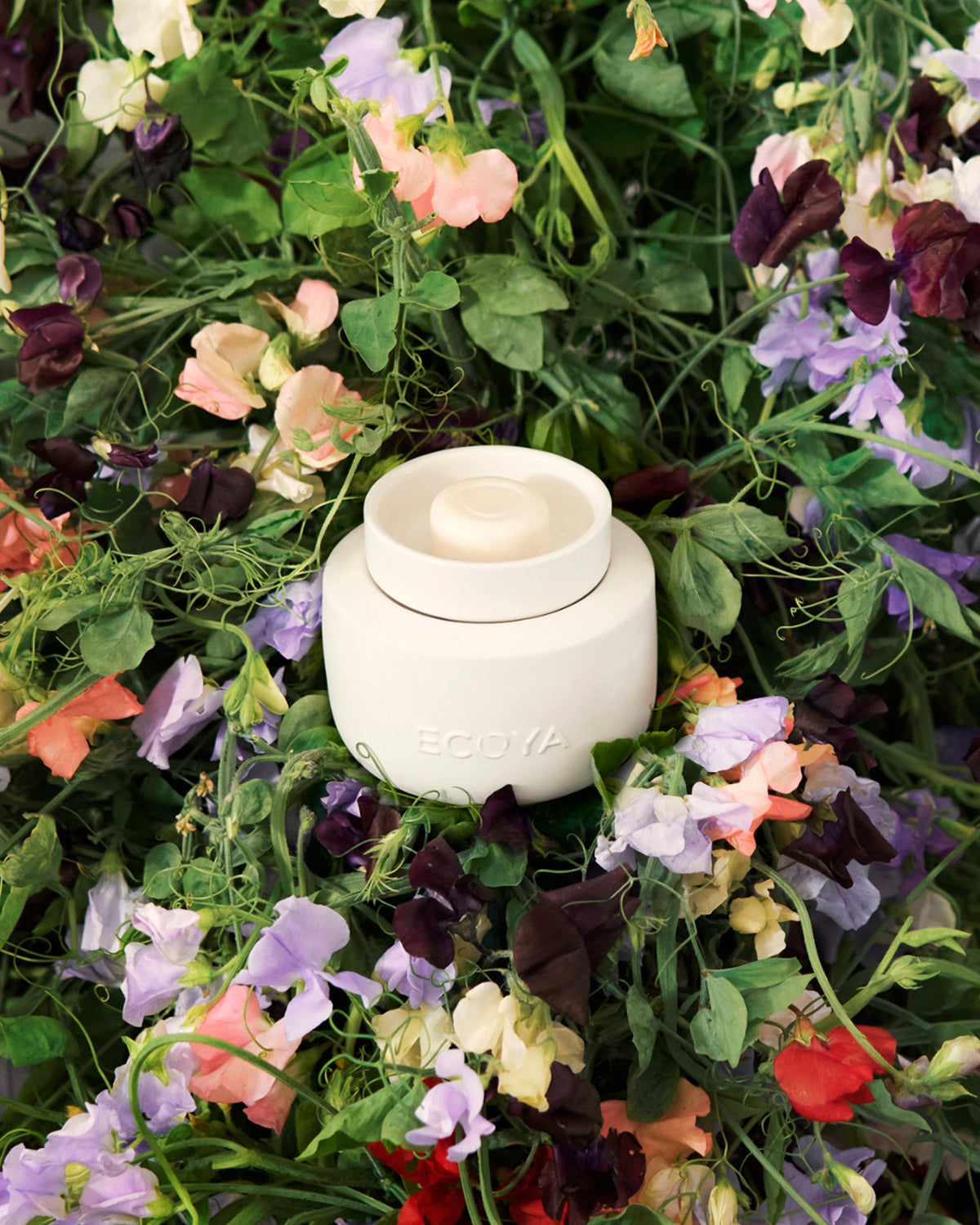 Electric Wax Melter - Ecoya