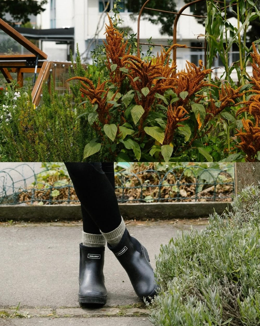 Skellerup Meadow Ankle Boot - Black