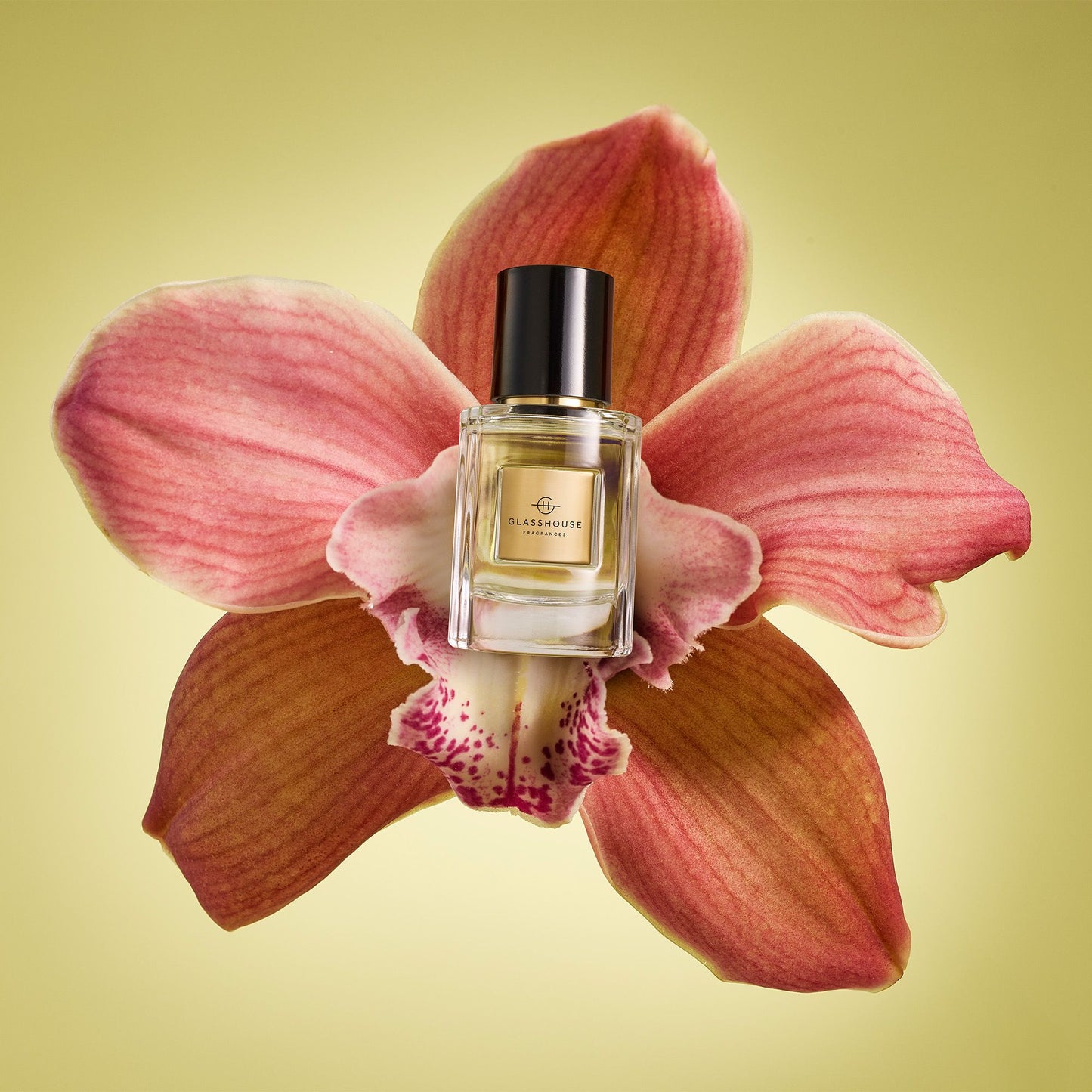 Perfume - Tuberose Immortelle - 30ml