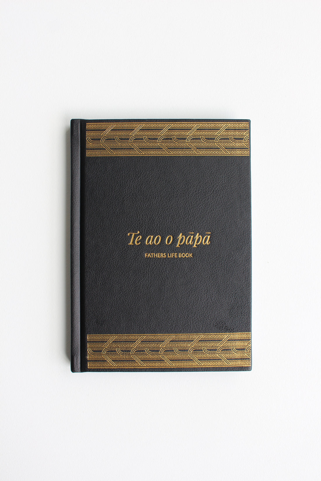 Te ao o Pāpā - Fathers life book