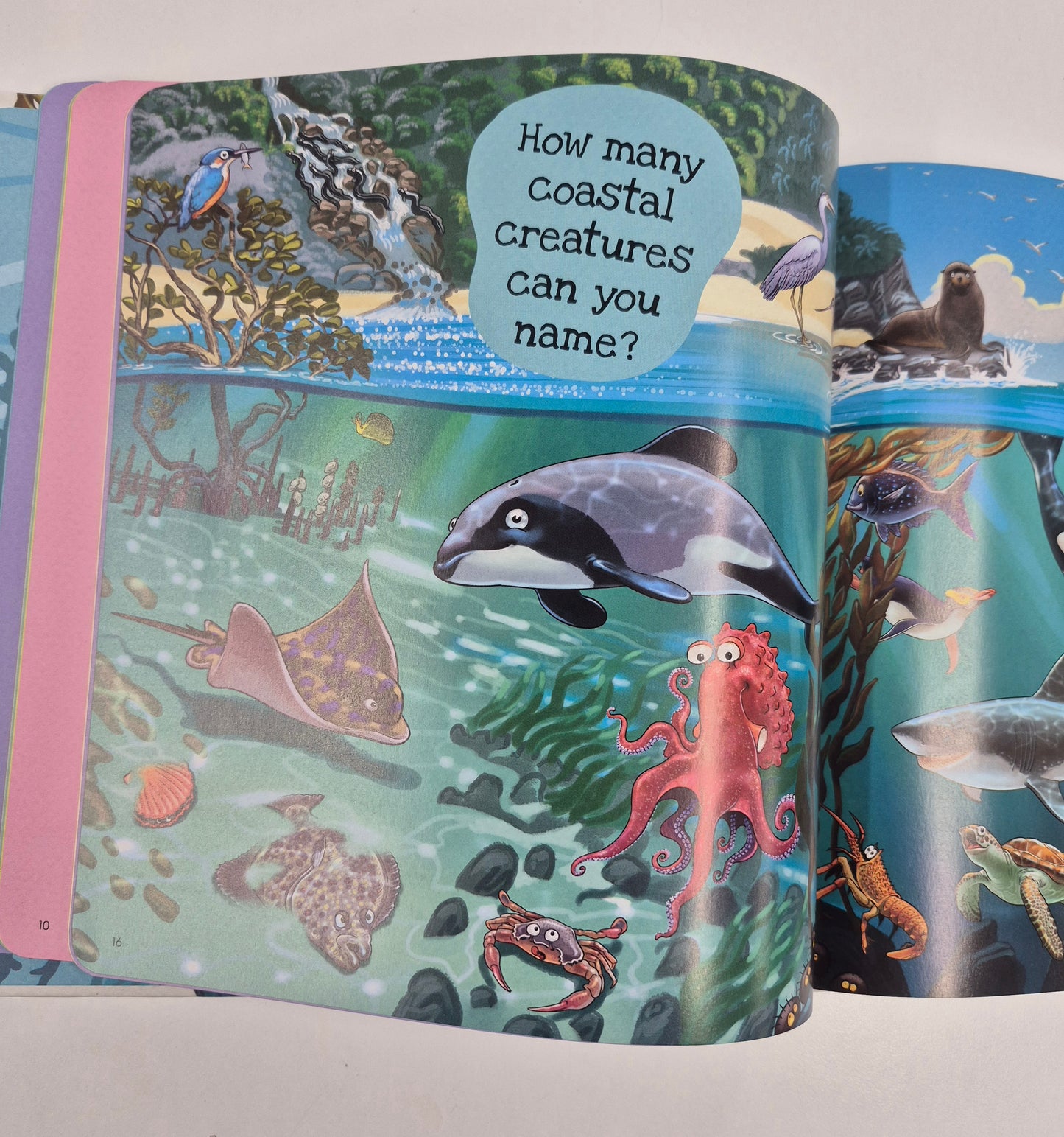 Book - Splash! by Donovan Bixley