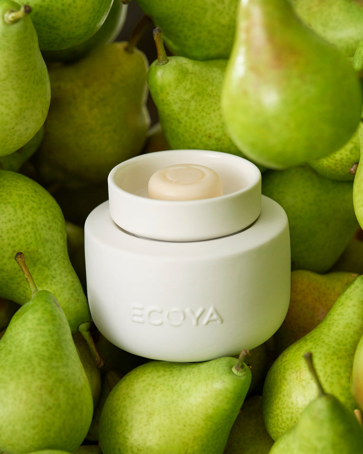Electric Wax Melter - Ecoya