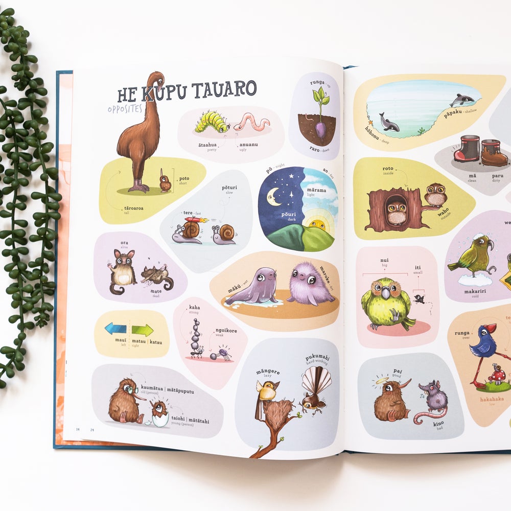 Book - Maori Picture Dictonary